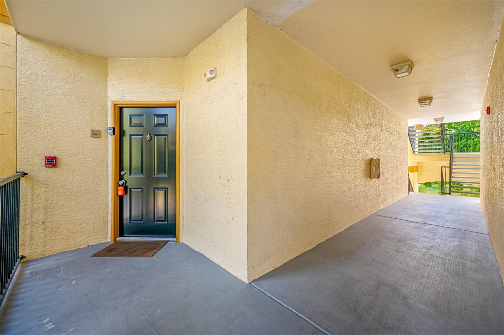 An exterior view of an apartment entrance with a dark door and concrete walkway — 5612 PINNACLE HEIGHTS CIRCLE UNIT 206, TAMPA, FL