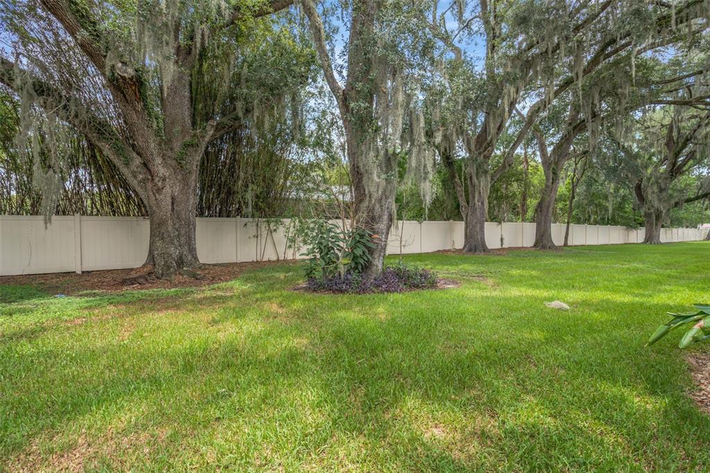 A grassy backyard features large oak trees draped in Spanish moss along a white fence — 2958 ROYAL TUSCAN LANE, VALRICO, FL