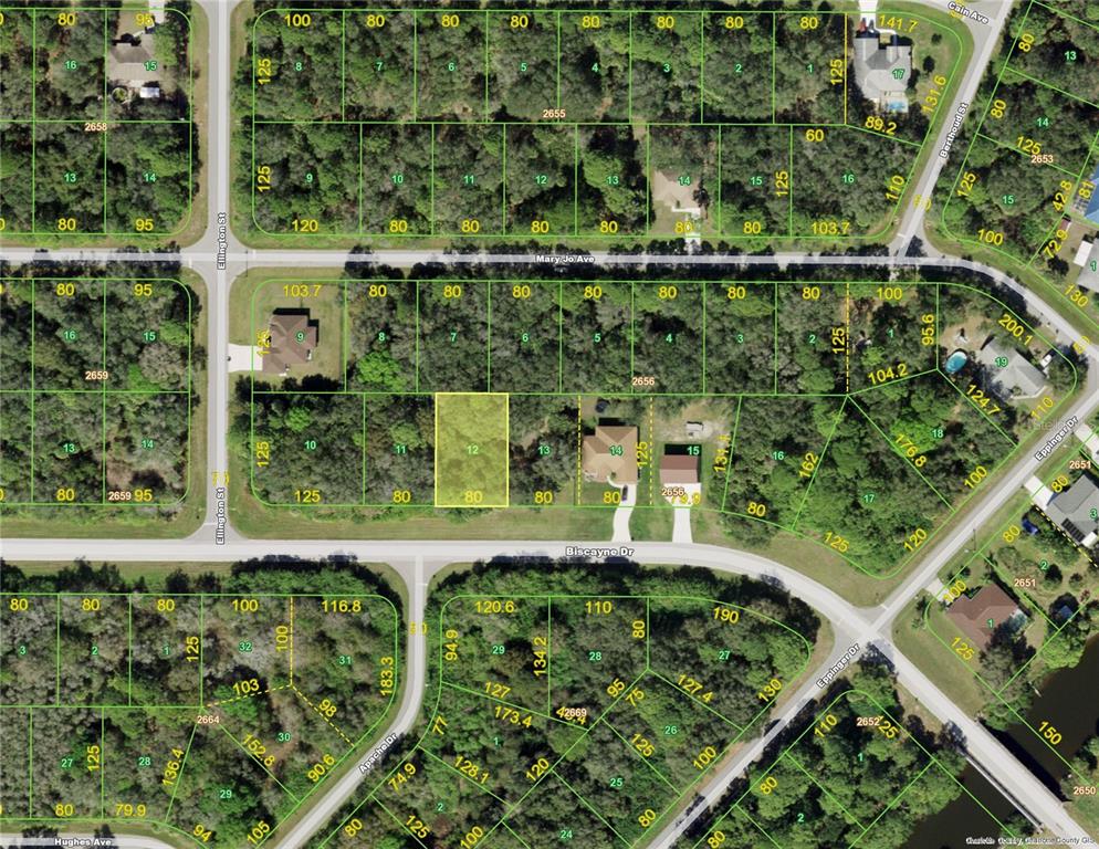 This is a satellite map showing residential property lot lines and dimensions — 1044 BISCAYNE DRIVE, PORT CHARLOTTE, FL