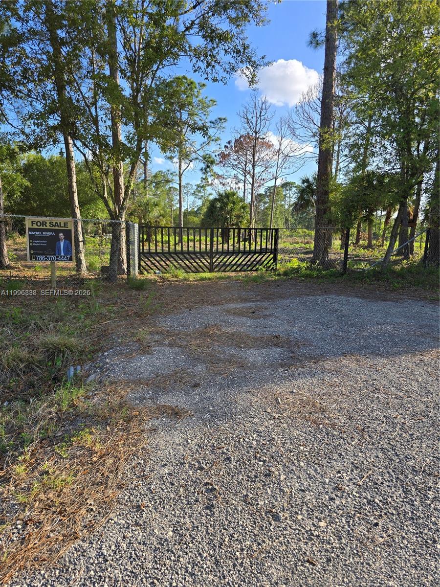 A gravel driveway leads to a gated entrance of a wooded, fenced lot for sale — 466 Hunting Club Ave, Clewiston FL 33440, CLEWISTON, FL