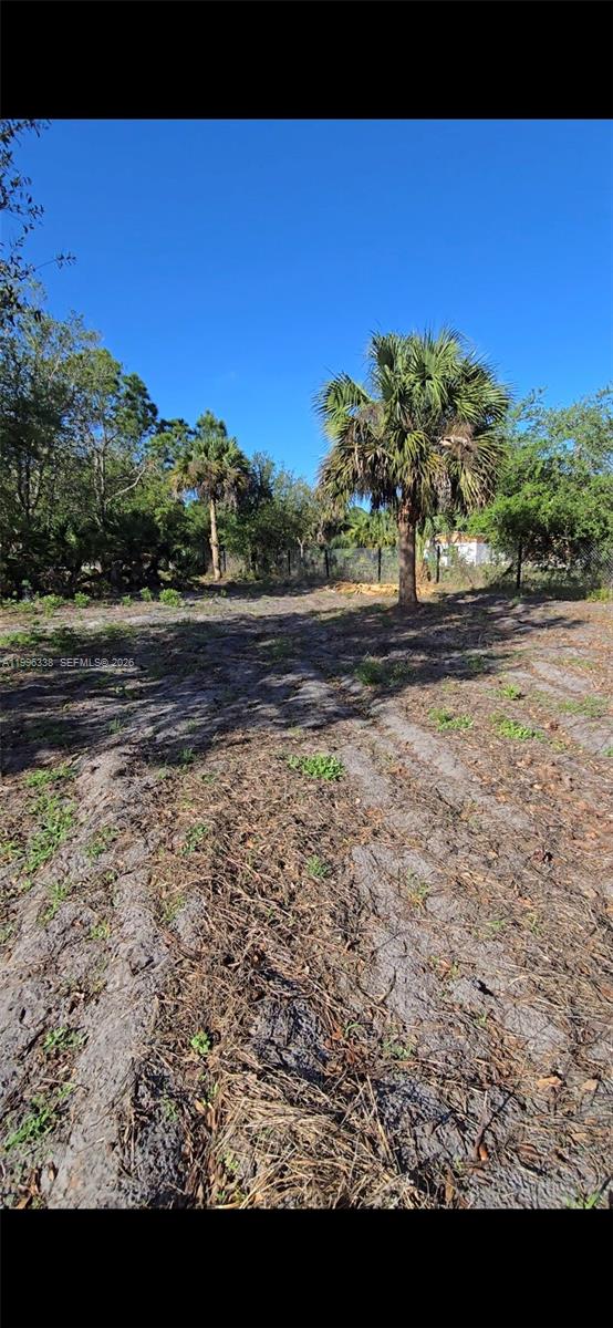 A vacant, sandy lot features scattered vegetation and two prominent palm trees under a clear sky — 466 Hunting Club Ave, Clewiston FL 33440, CLEWISTON, FL