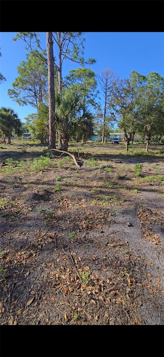 A view of a sandy, partially cleared lot with scattered trees and palmettos — 466 Hunting Club Ave, Clewiston FL 33440, CLEWISTON, FL