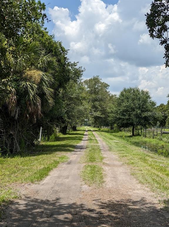 A dirt path leads through a grassy field lined with trees under a cloudy sky — 12980 and 12990 RIVER ROAD, MYAKKA CITY, FL