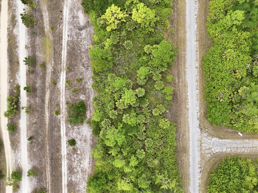 An aerial view shows a wooded lot situated between a dirt path and a paved road — KIMBERLY DRIVE, NORTH PORT, FL