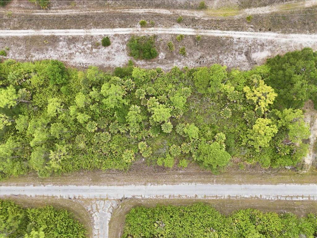 An aerial view shows a rectangular, wooded lot bordered by a paved road and dirt path — KIMBERLY DRIVE, NORTH PORT, FL