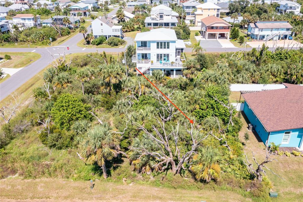 An aerial view shows a multi-story house surrounded by dense vegetation and nearby residential homes — 31 ROLLINS DRIVE, PALM COAST, FL