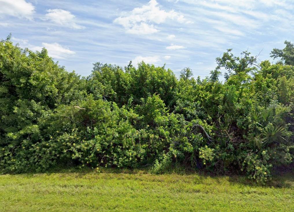 A dense line of green trees and shrubs borders a grassy lawn under a blue sky — 6182 CAVAN STREET, ENGLEWOOD, FL