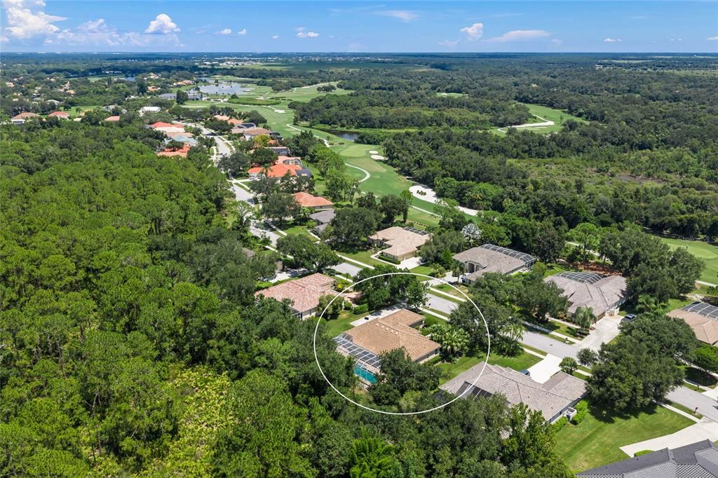 An aerial view shows a residential house with a pool and screened lanai near woods — 8488 EAGLE PRESERVE WAY, SARASOTA, FL