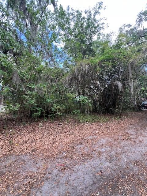 A view of a densely wooded, undeveloped lot covered in fallen leaves and Spanish moss — 120 NW 9TH STREET, GAINESVILLE, FL