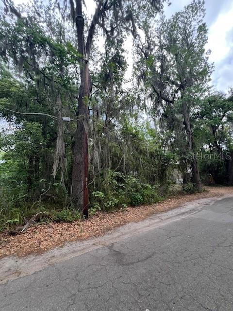 A wooded, undeveloped lot with tall trees covered in Spanish moss along a paved road — 120 NW 9TH STREET, GAINESVILLE, FL