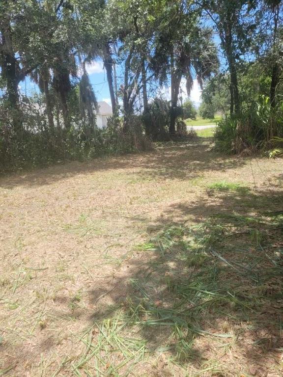 A grassy, partially cleared lot features scattered palm trees and dense vegetation under a blue sky — 6631 MERLE STREET, MULBERRY, FL