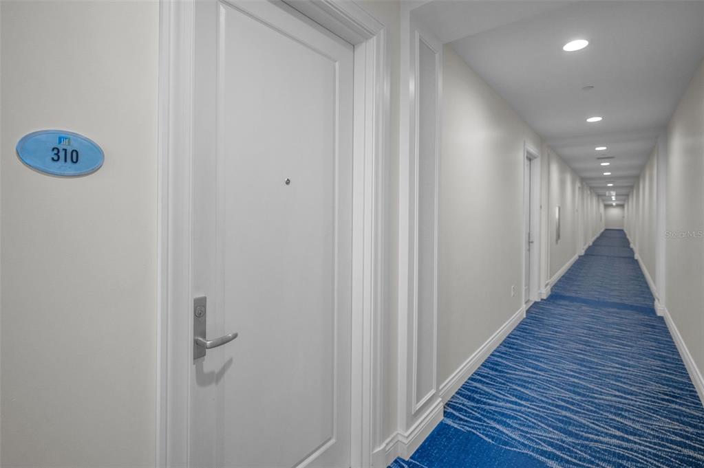 A white door with a room number sign leads to a long hallway with blue carpet — 331 CLEVELAND STREET UNIT 310, CLEARWATER, FL