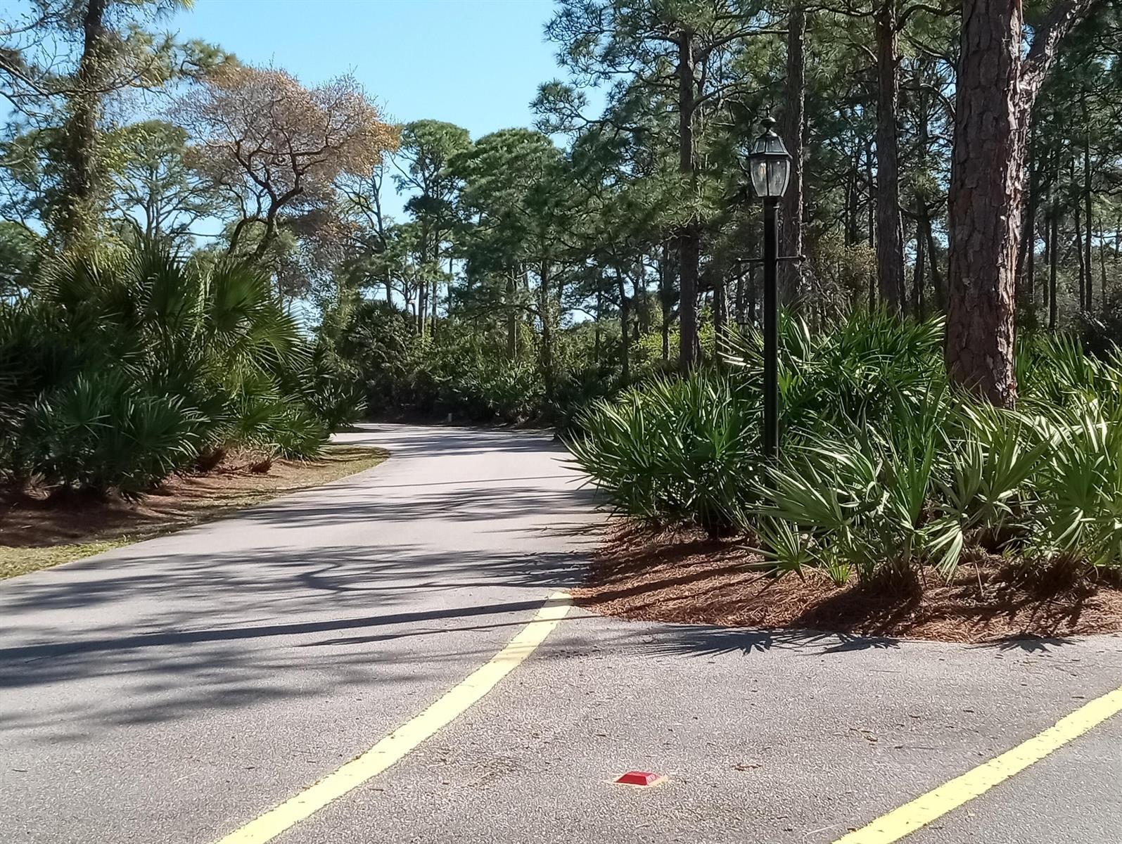 A paved road winds through a wooded area with palm trees and a street lamp — 630 E Pointe Ct SW, Vero Beach FL 32962, VERO BEACH, FL