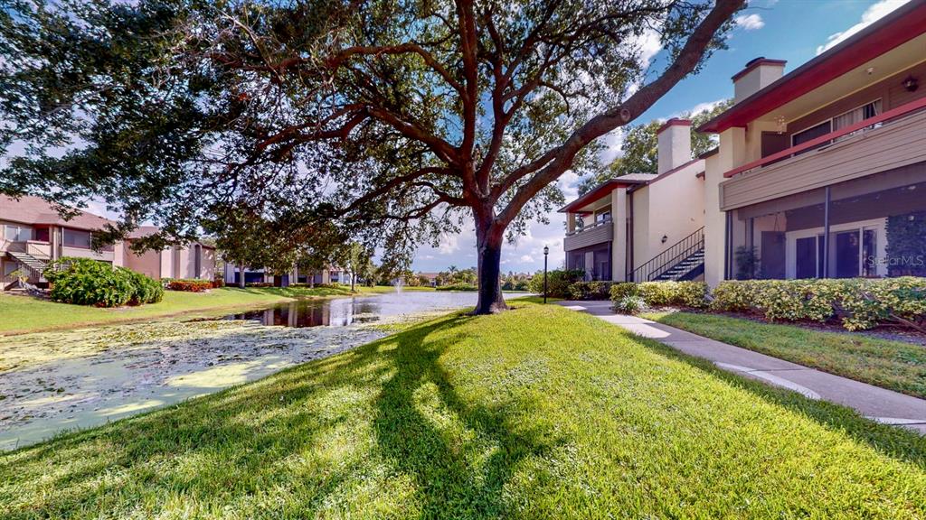A large tree stands on a grassy lawn beside a pond near apartment buildings — 10265 GANDY BOULEVARD N UNIT 1302, ST PETERSBURG, FL