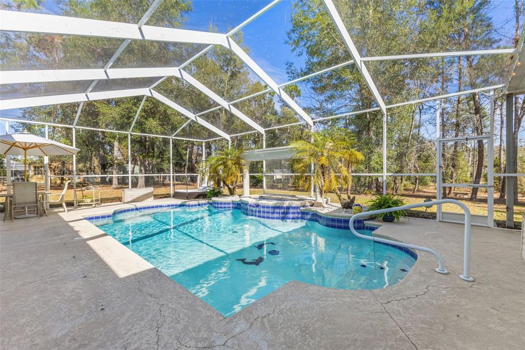 A screened-in swimming pool with a spa and patio area surrounded by trees — 14071 LINDEN DRIVE, SPRING HILL, FL
