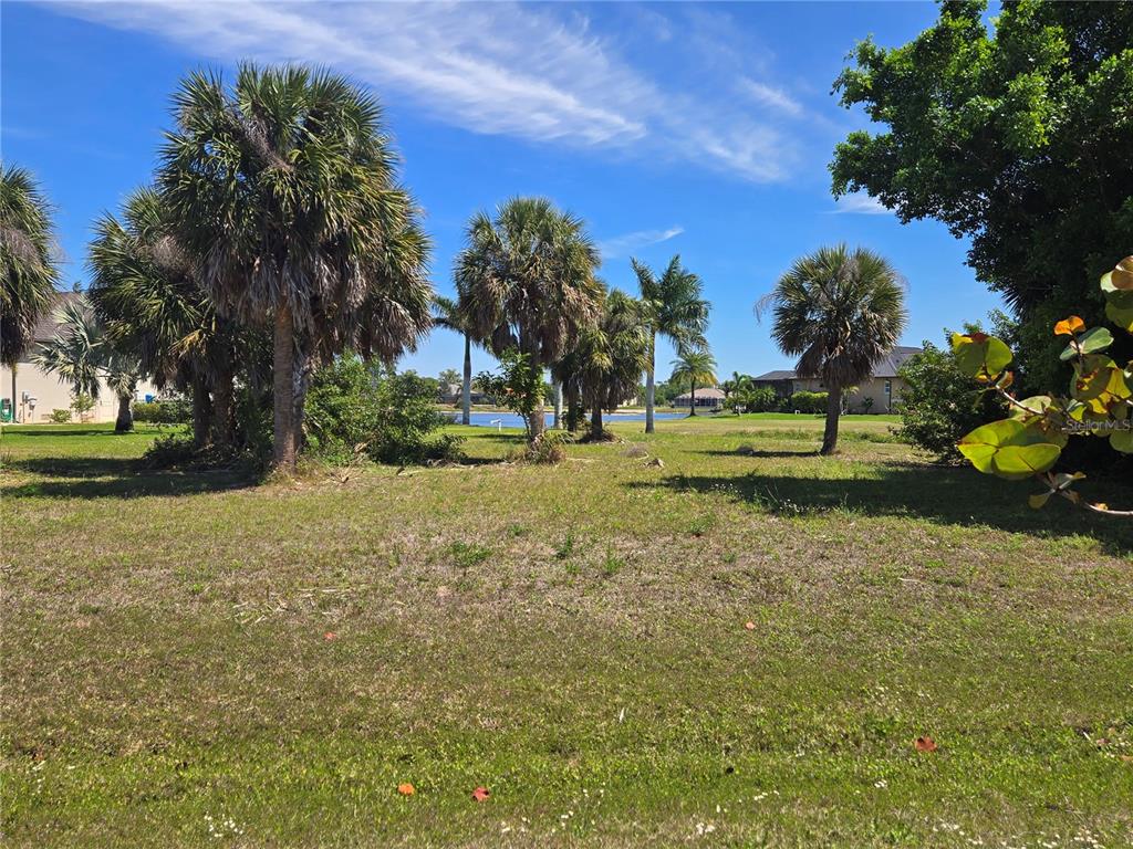 A grassy vacant lot features several palm trees and a view of a distant lake — 17168 WATCHTOWER LANE, PUNTA GORDA, FL