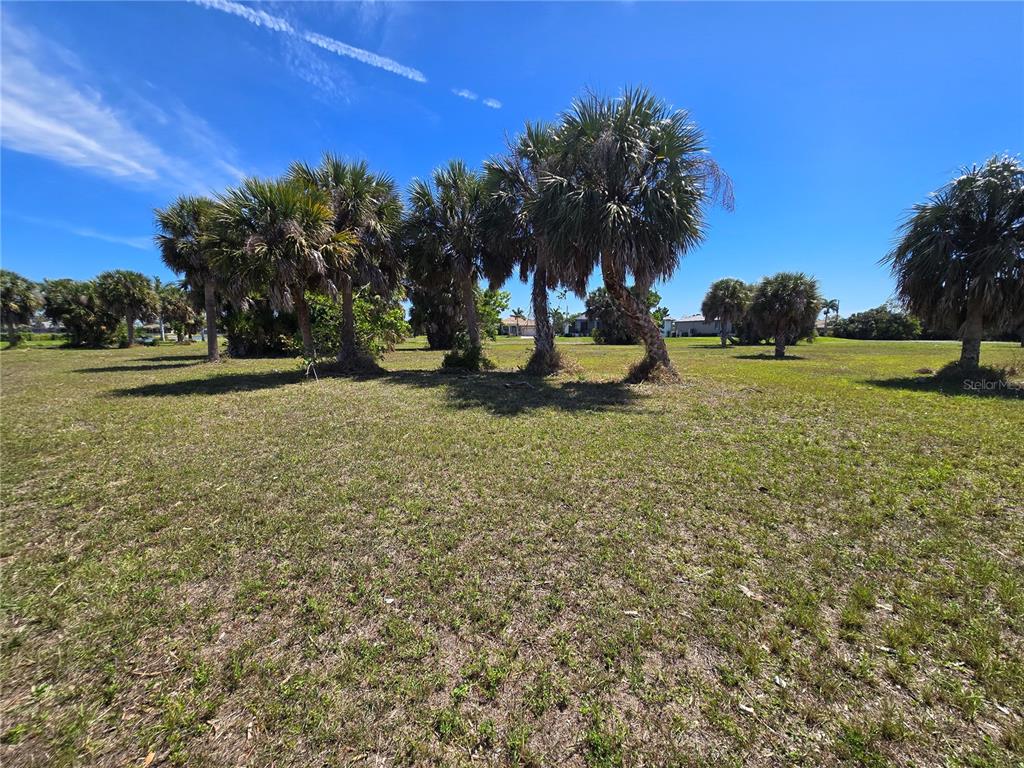 A grassy, open lot features several palm trees under a clear blue sky — 17168 WATCHTOWER LANE, PUNTA GORDA, FL