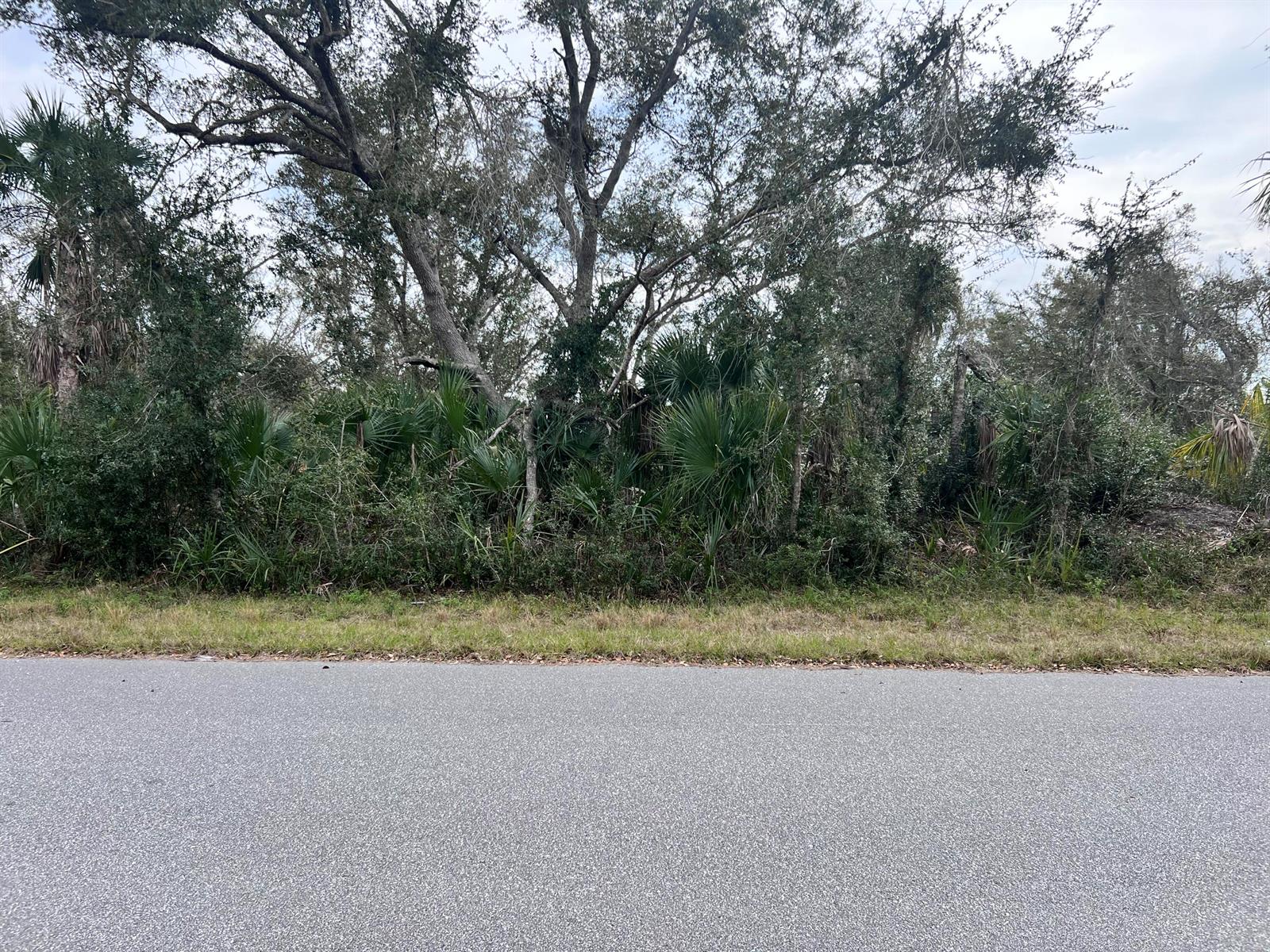 14447 Black Avenue, FL 33953