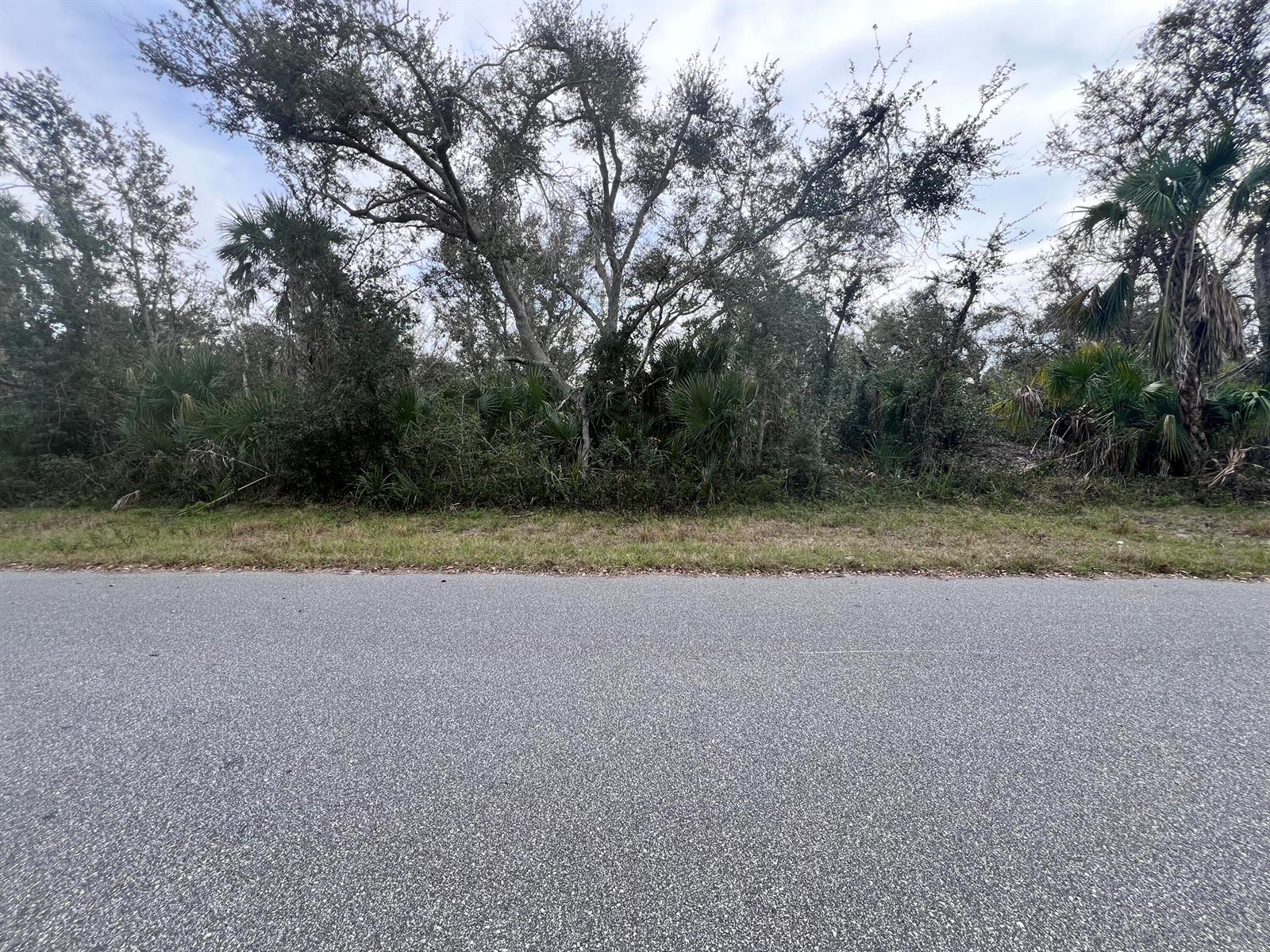 A paved road runs in front of a dense, wooded lot with tall trees and palms — 14447 Black Avenue, FL 33953, FL