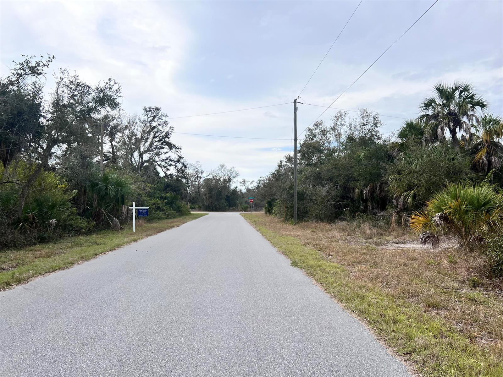 A paved road leads toward a stop sign surrounded by trees and vegetation — 14447 Black Avenue, FL 33953, FL