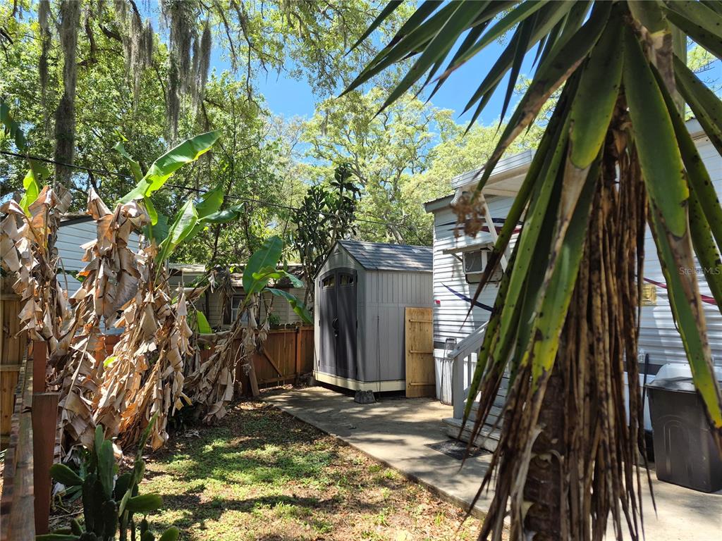 A backyard features a storage shed, banana plants, and a mobile home with a concrete patio — 3000 CLARCONA ROAD UNIT 530, APOPKA, FL