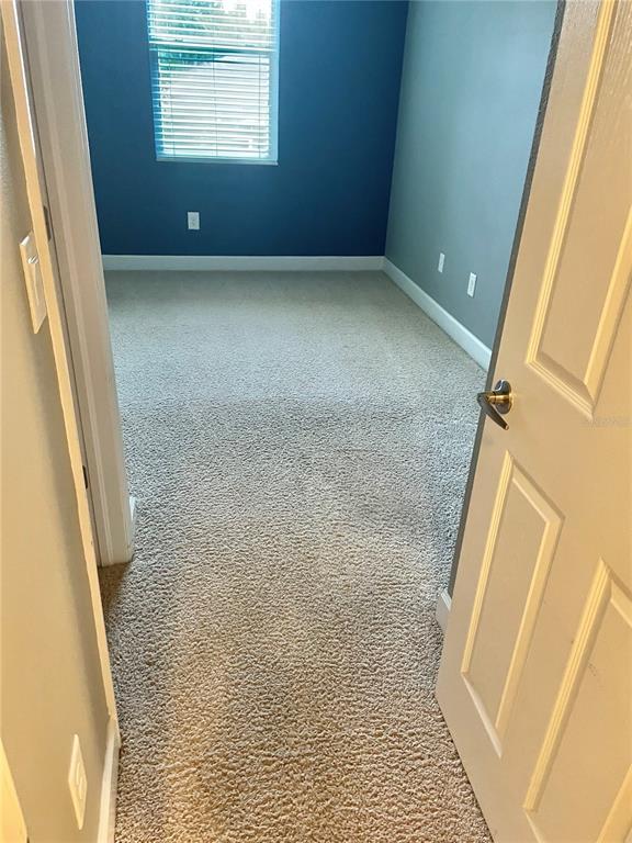 A view through an open doorway into a bedroom with blue walls and carpeted flooring — 21648 SOUTHERN CHARM DRIVE, LAND O LAKES, FL