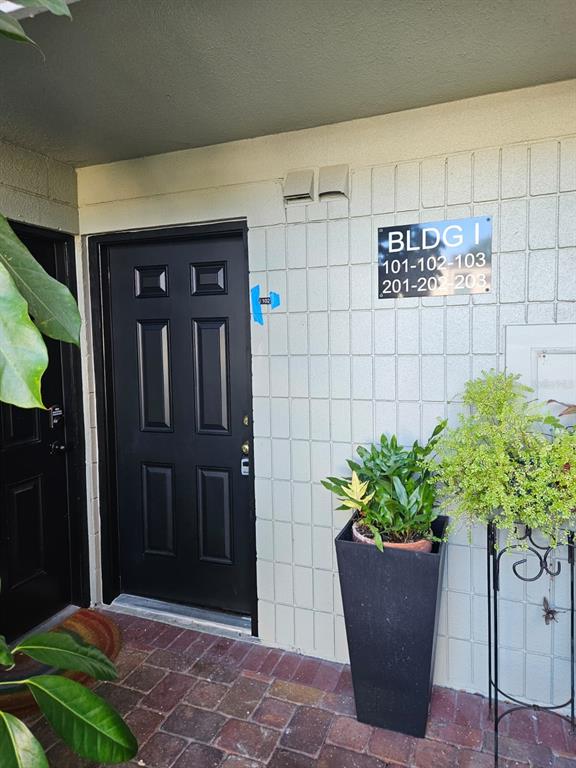 The exterior entrance of a building unit features a black door and a potted plant — 2424 W TAMPA BAY BOULEVARD UNIT I102, TAMPA, FL
