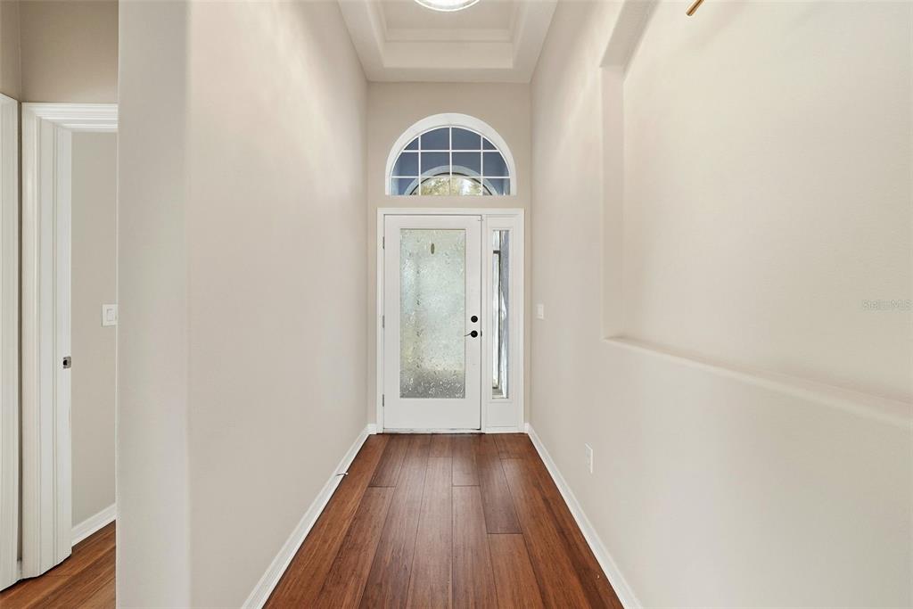 An entryway features a white front door with a transom window and wood-look flooring — 13230 GRAHAM YARDEN DRIVE, RIVERVIEW, FL