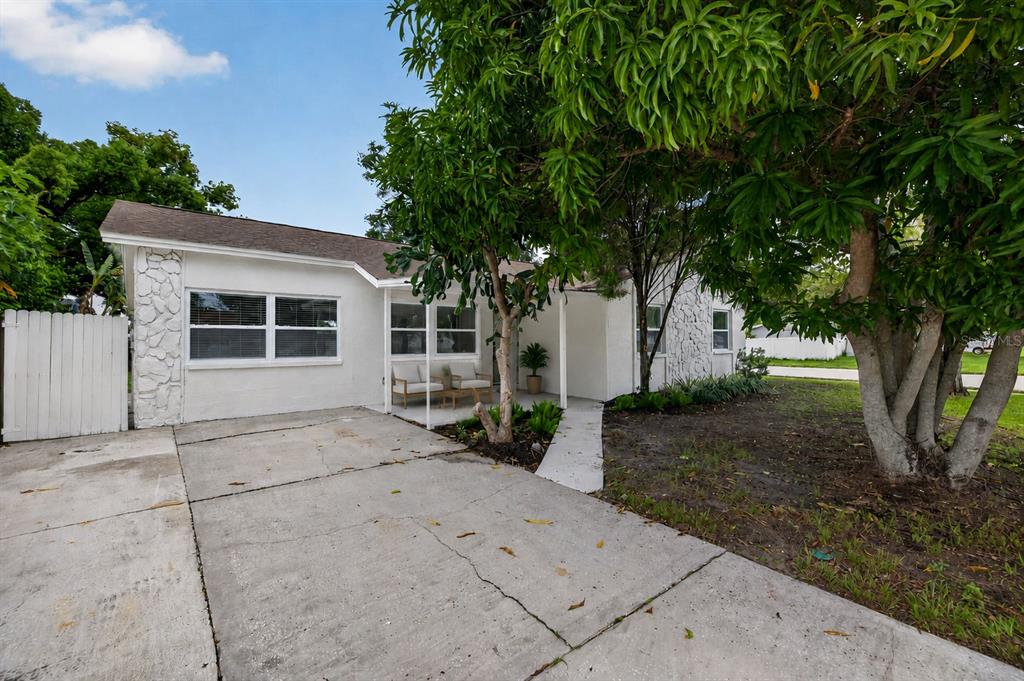 A white single-story house features a concrete driveway, stone accents, and a large shade tree — 9001 ARNDALE CIRCLE, TAMPA, FL