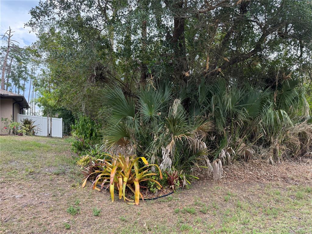 A landscaped garden bed with bromeliads and palm trees sits in front of large trees — ZUYDER TERRACE, NORTH PORT, FL
