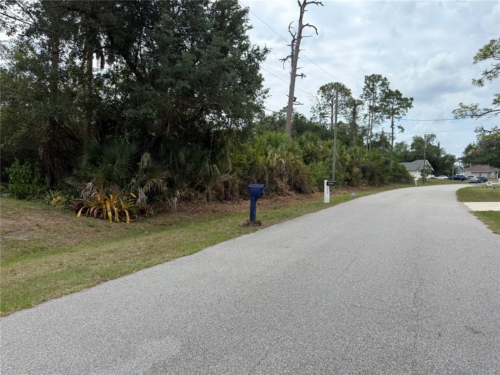 A paved road curves past a wooded, undeveloped residential lot with two mailboxes — ZUYDER TERRACE, NORTH PORT, FL