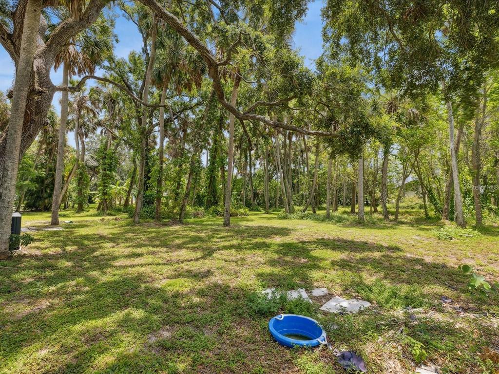 A grassy, wooded lot features many tall trees and a small blue plastic pool — 6440 RICHARDSON ROAD, SARASOTA, FL