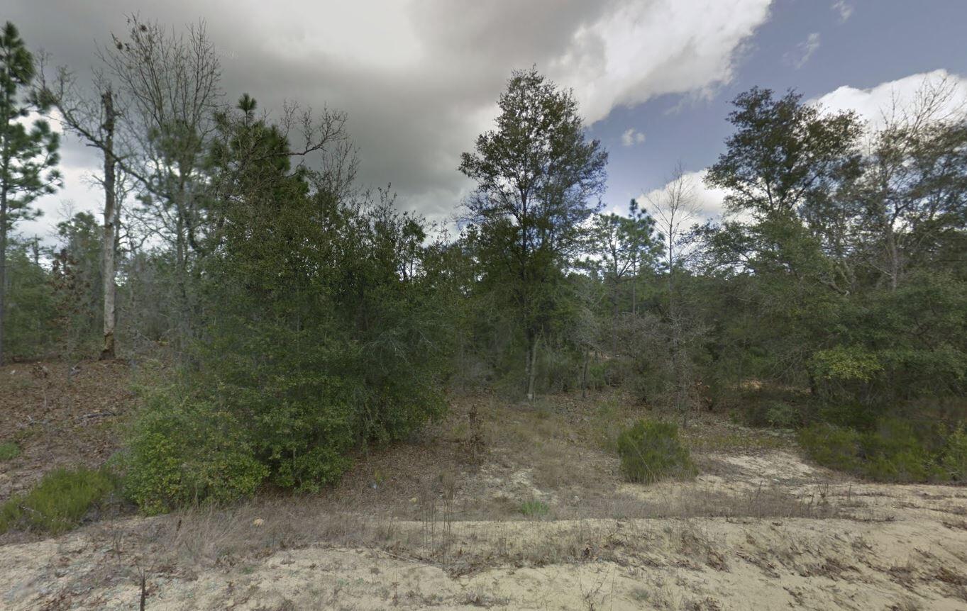 A wooded lot with sandy soil, scattered trees, and dense underbrush under a cloudy sky — 187 Paris Street, FL 32148, FL
