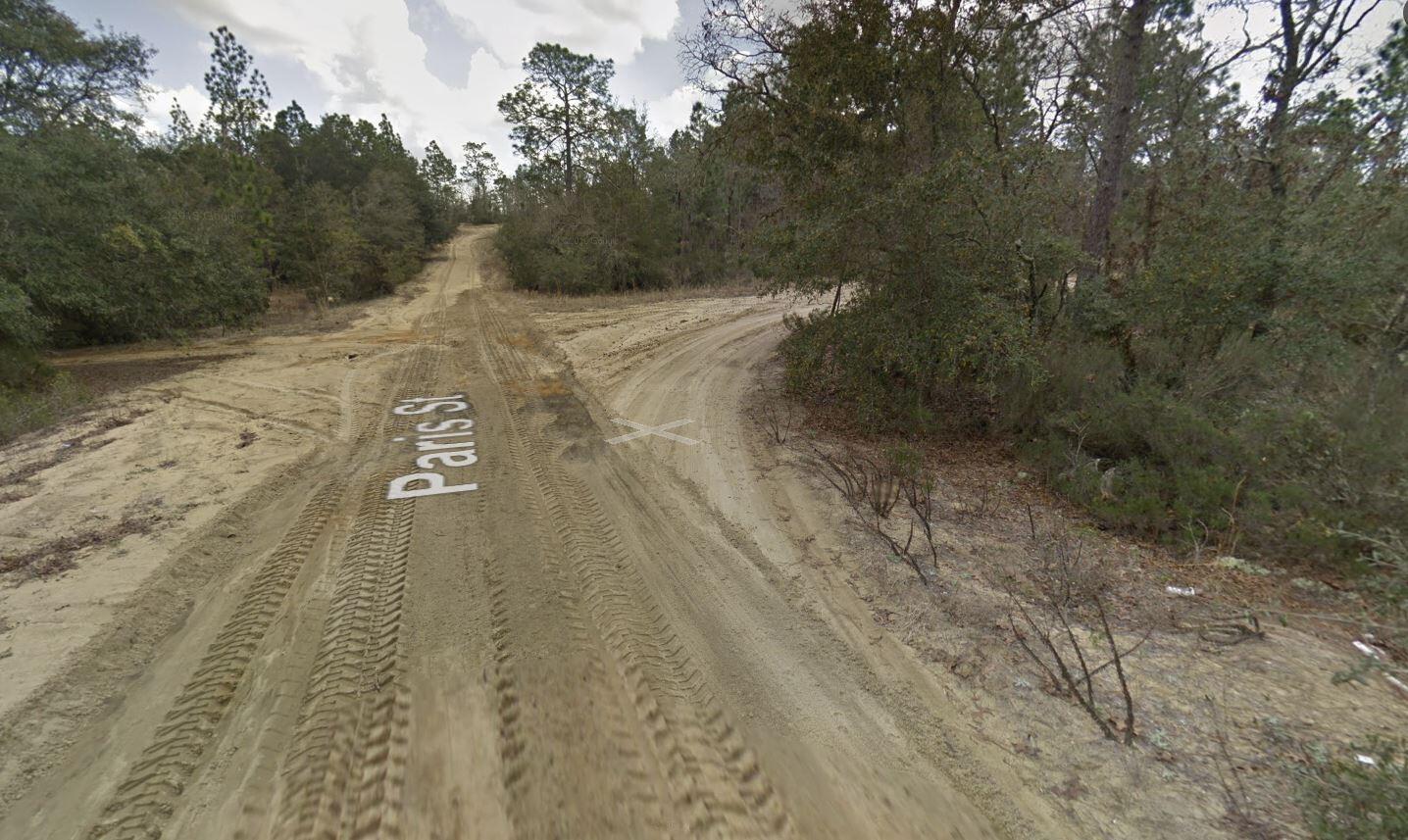 A sandy, unpaved road forks through a wooded area with a street name painted on it — 187 Paris Street, FL 32148, FL