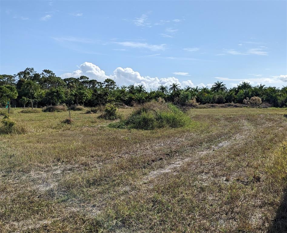 4159 SUNSHINE BOULEVARD, ST JAMES CITY, FL — photo 4 of 30