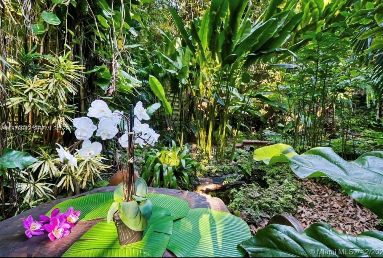 A potted white orchid sits on a wooden table in a lush, tropical garden setting — 4895 SW 88th St # 00, Miami FL 33156, MIAMI, FL