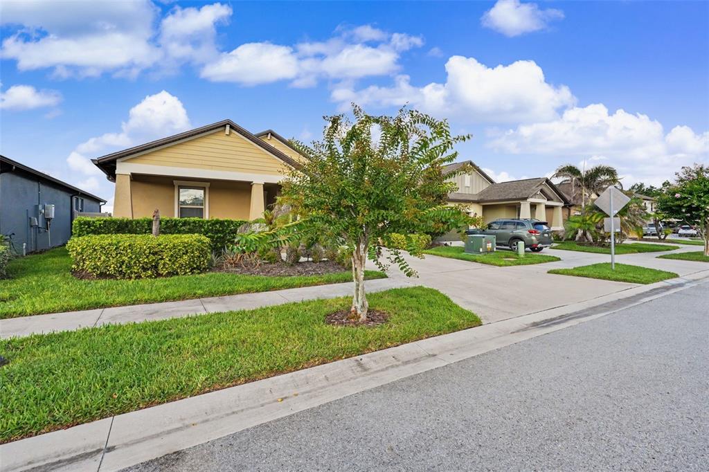 A tan suburban house with a front lawn, a small tree, and a concrete driveway — 9189 SHADYSIDE LANE, LAND O LAKES, FL