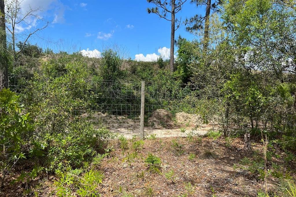 A wire fence stands in a wooded area with sandy ground and dense green vegetation — 0000 LADY BUG LANE, MELROSE, FL