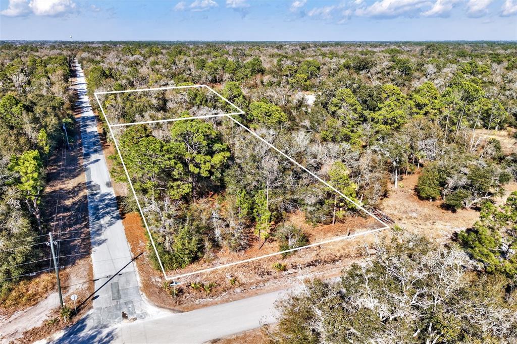 An aerial view shows a wooded, rectangular plot of land outlined in white along a road — 10051 N MARIGOLD TERRACE, CRYSTAL RIVER, FL