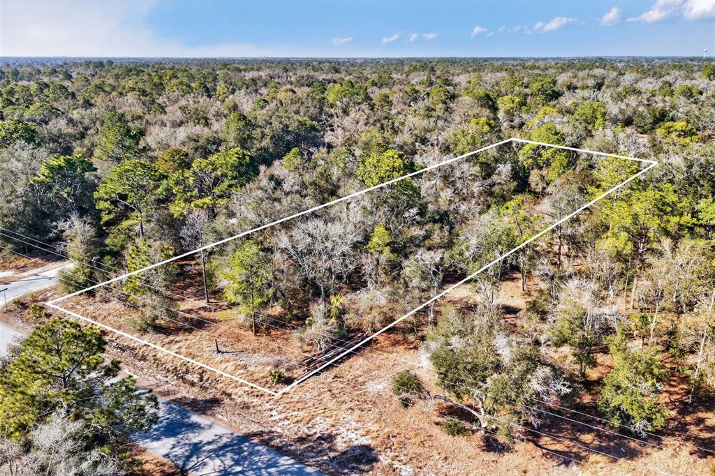 An aerial view shows a rectangular, wooded plot of land bordered by a paved road — 10051 N MARIGOLD TERRACE, CRYSTAL RIVER, FL