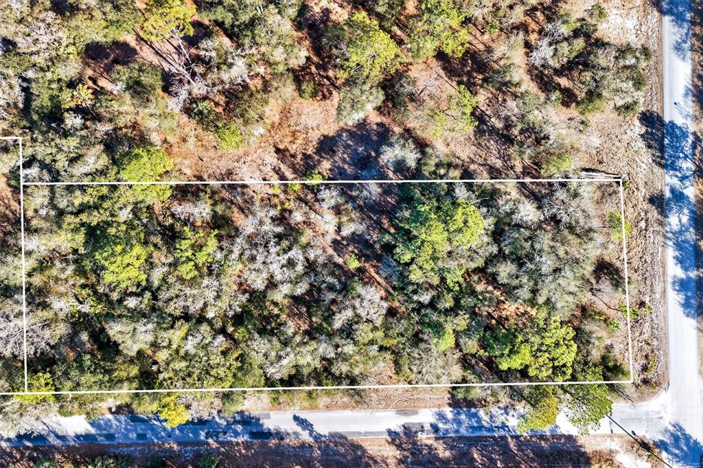 An aerial view shows a rectangular, wooded lot bordered by roads on two sides — 10051 N MARIGOLD TERRACE, CRYSTAL RIVER, FL