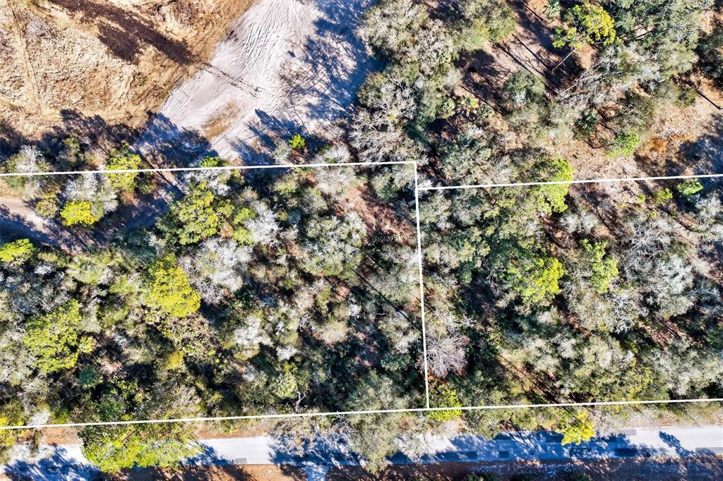 This aerial view shows two adjacent wooded lots bordering a paved road — 10051 N MARIGOLD TERRACE, CRYSTAL RIVER, FL