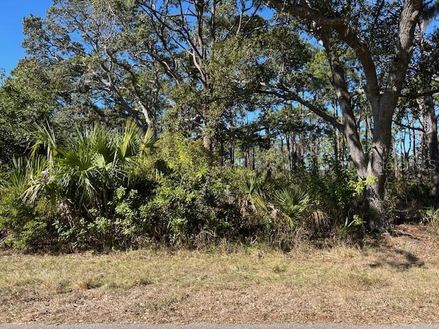 A wooded, undeveloped lot features dense vegetation, palmettos, and mature trees under a clear sky — 103 MCDILL DRIVE, PORT CHARLOTTE, FL