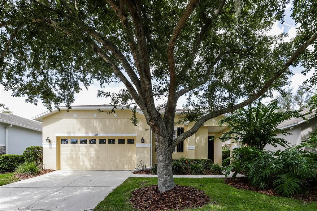 A single-story house with a yellow exterior, a two-car garage, and a large front tree — 1035 CLEARPOINTE WAY, LAKELAND, FL