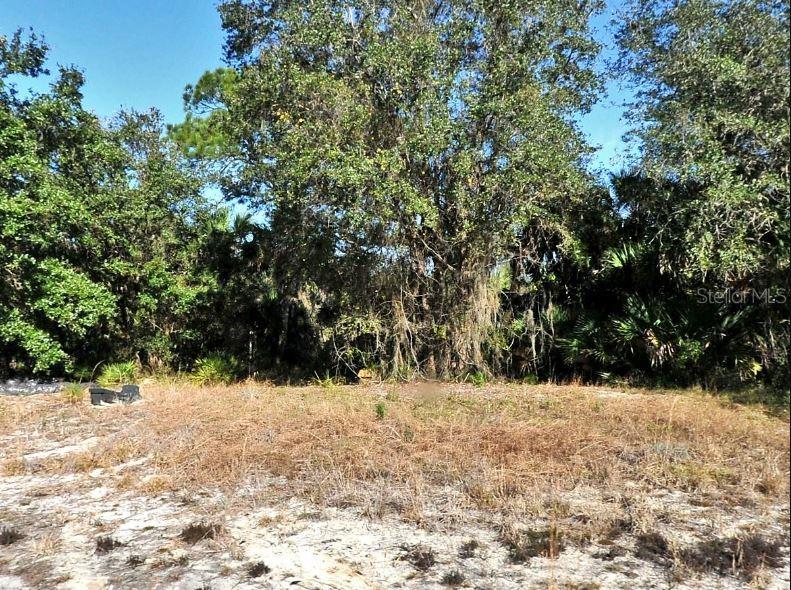A vacant, sandy lot is bordered by dense trees and foliage under a clear sky — WORRELL LANE, NORTH PORT, FL
