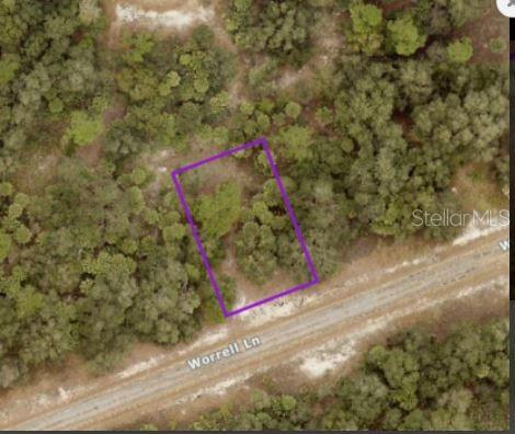 An aerial view shows a rectangular plot of land outlined in purple next to a road — WORRELL LANE, NORTH PORT, FL