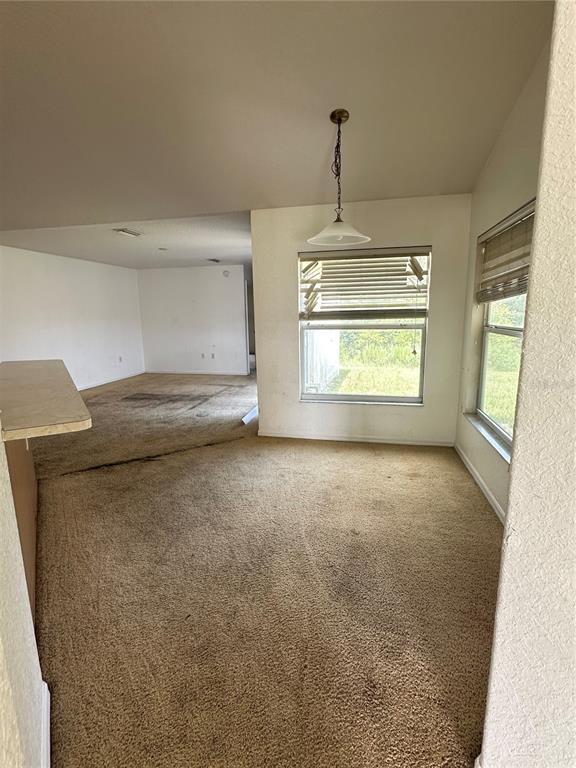 A dining area with beige carpet and a pendant light overlooks a grassy backyard — 13540 SW 86TH AVENUE, OCALA, FL