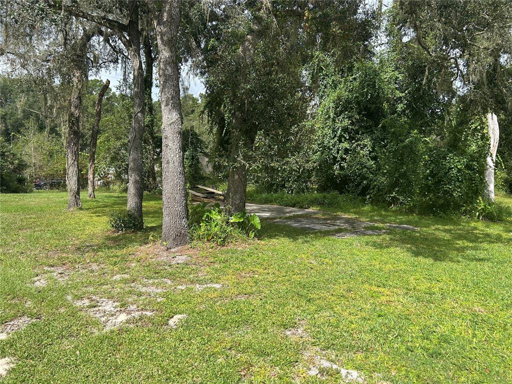 A grassy, tree-filled lot features a weathered concrete driveway leading toward dense vegetation — 4014 SW 125TH AVENUE, WEBSTER, FL