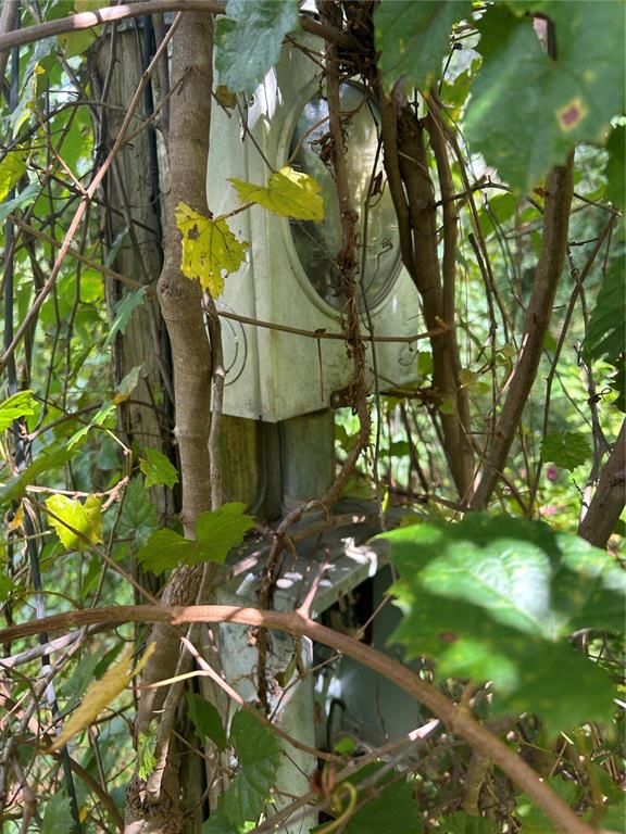 An outdoor electrical meter box is partially obscured by overgrown vines on a wooden post — 4014 SW 125TH AVENUE, WEBSTER, FL