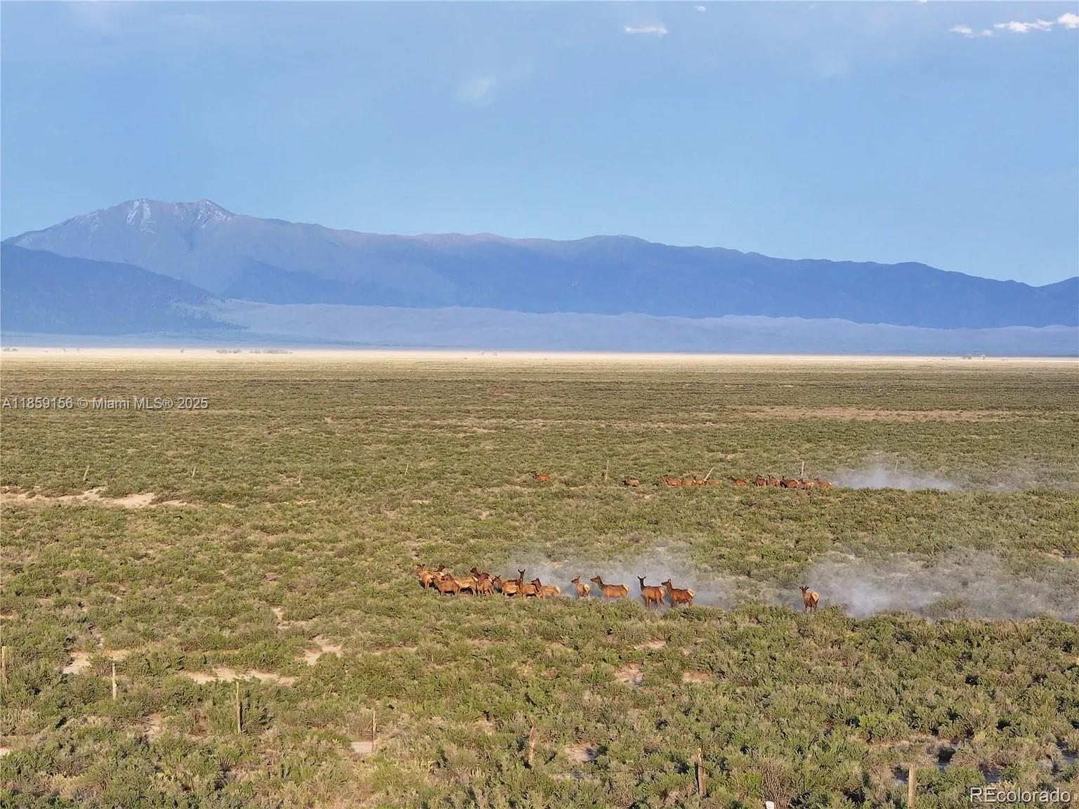 A herd of elk grazes in a vast, open field beneath a mountain range — 10 N 2 Lane, CO 81146, CO